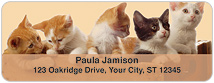 Precious Kittens Address Labels