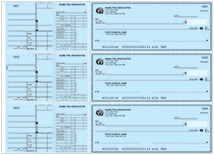 Safety Blue Payroll General Checks