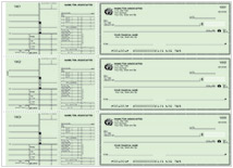 Safety Green Payroll General Checks