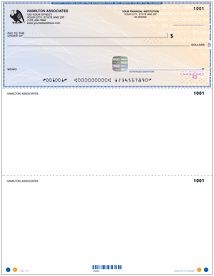 High Security Laser Voucher Check on Top